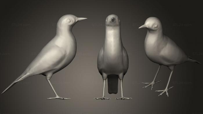 Animal figurines (Pipit, STKJ_1282) 3D models for cnc